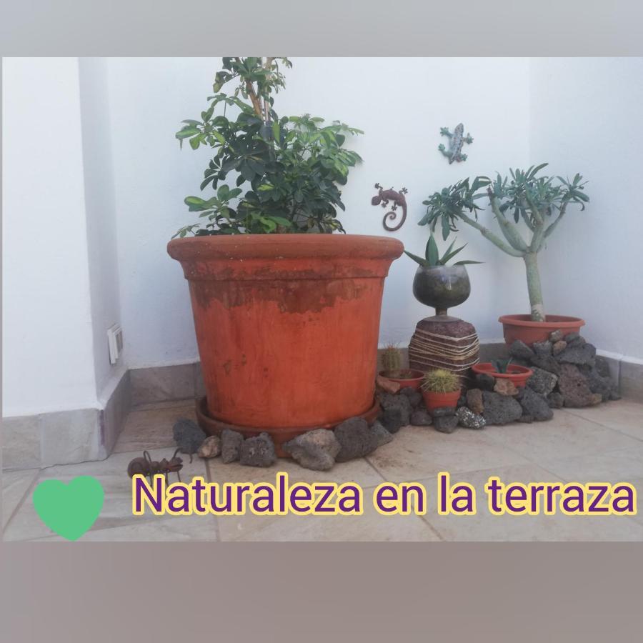 Love For Lanzarote Holidays House Playa Blanca  Exteriör bild